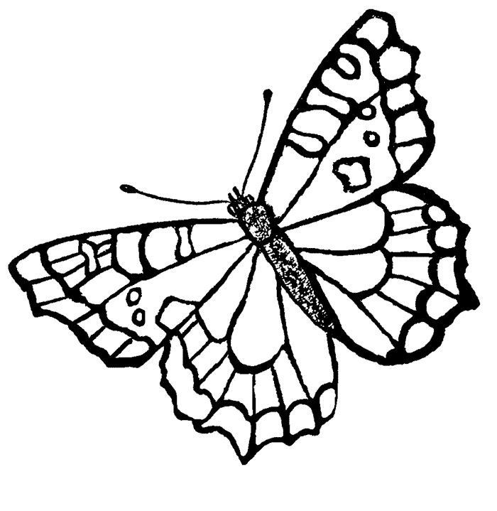 Plansa de colorat cu Fluturi 35 29